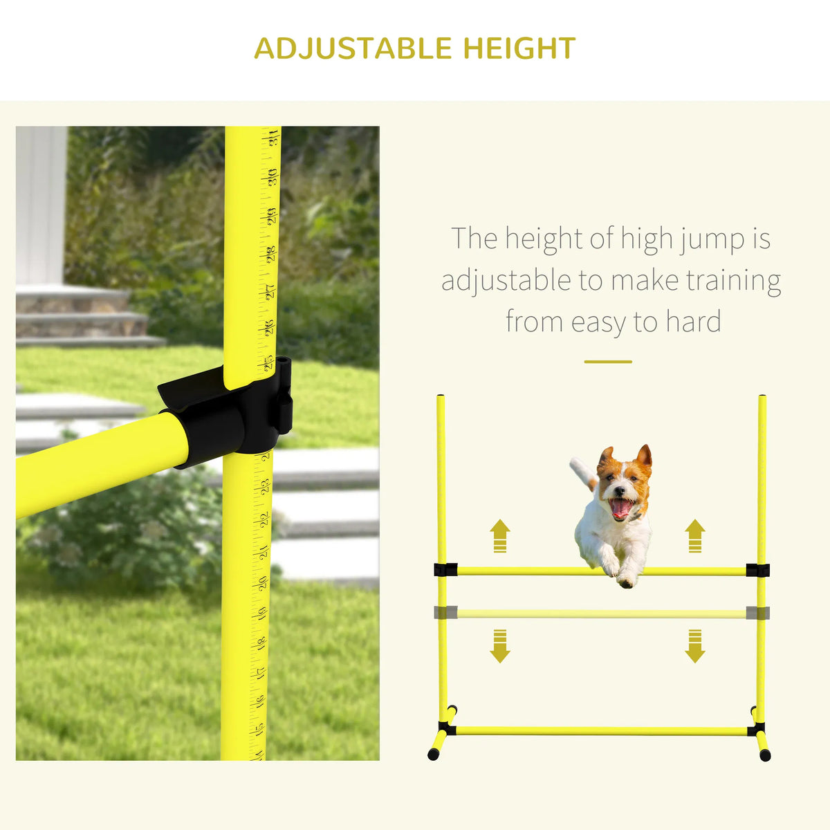 Dog Agility Training Equipment - view 7