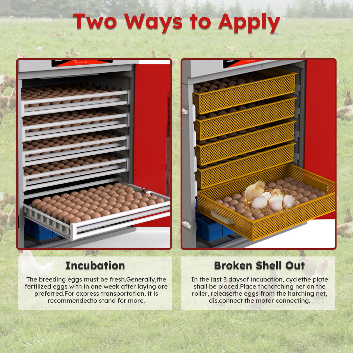 400 Eggs Incubator Cabinet with Automatic Turning&Digital Temperature Control - view 9