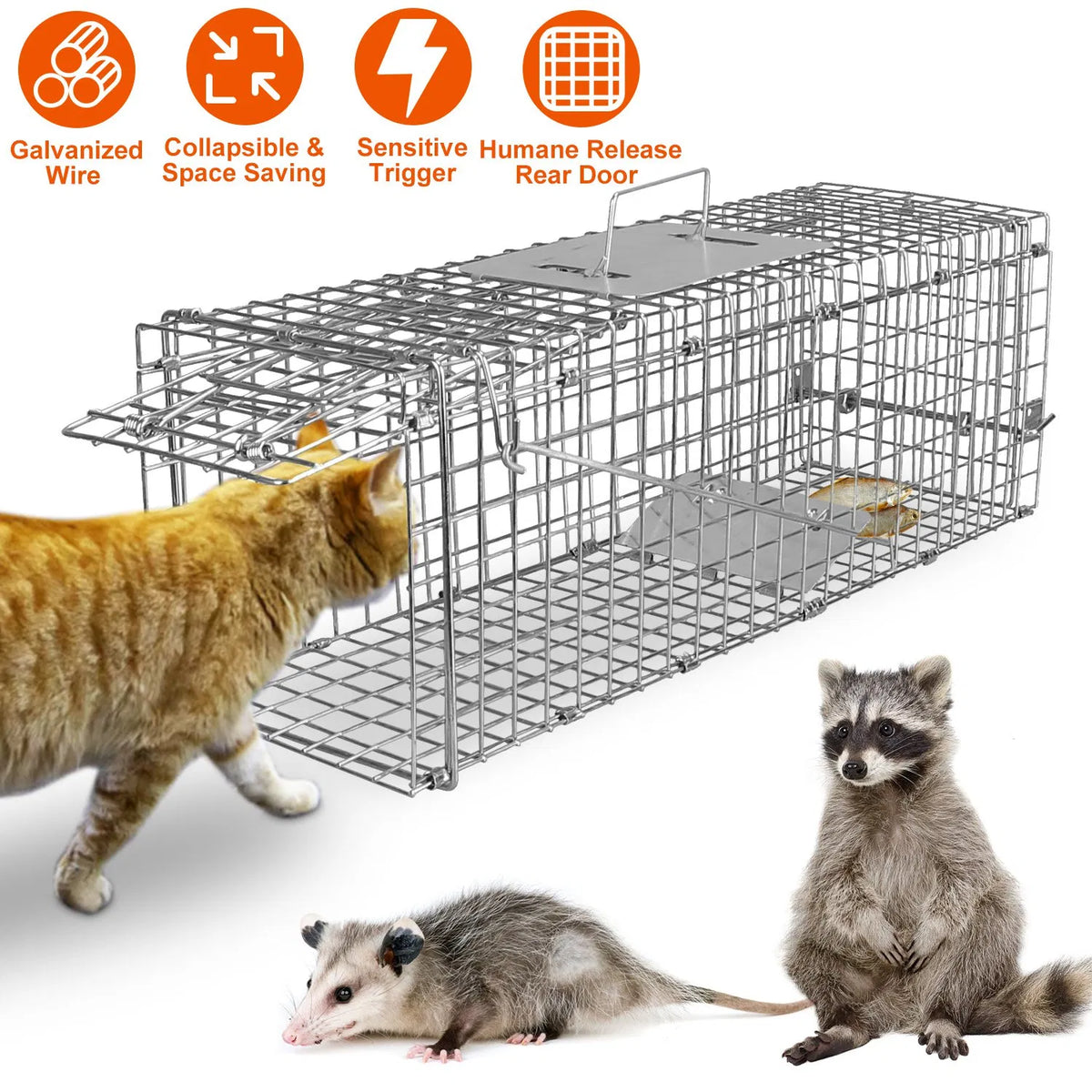 Humane Cat Trap Cage Catch Release Live Animal Rodent Cage Collapsible Galvanized Wire for Small Raccoons Beavers