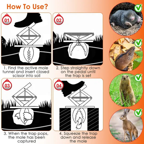 2PCS Easy Setup Mole Traps Outdoor Reusable Scissor Mole Gopher Rodent Control Trap Solid Metal Material For Lawn - view 8