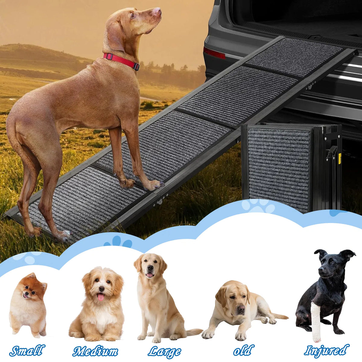 71" Long & 19" Wide Folding Dog Ramp for Car, SUV & Truck – Portable Pet Ramp with Non-Slip Surface, Extra Wide Steps - view 7