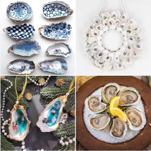 30pcs Oyster Shells With Pearl Bulk Natural Oyster Shells For Crafts DIY Arts Xmas Ornaments - view 8
