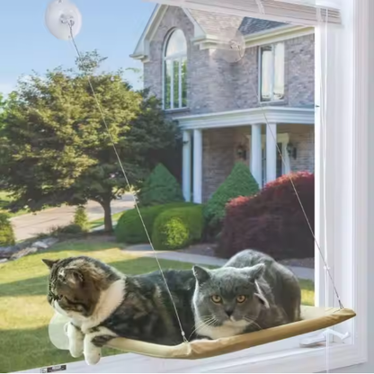 US LOCAL STOCK Hiphoppet Best Selling Washable Window-Mounted Sucker Cat Hammock Cat Nest Seat Elaxing Spot To Lounge - view 5