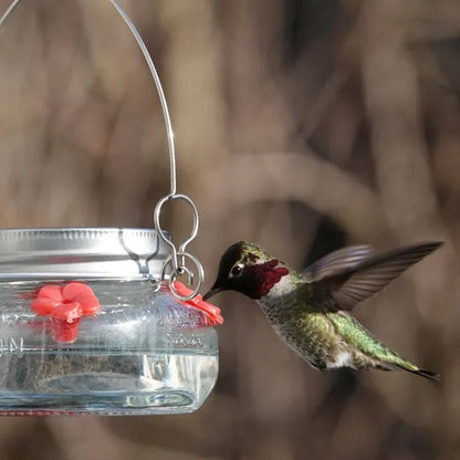 6oz Mason Jar Hummingbird Glass Feeder 2.5" - view 3