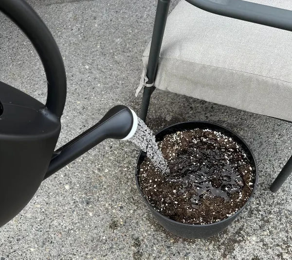 2 Gallon Plastic Watering Can, Black – Long Spout Watering Can For Indoor & Outdoor Garden Plants - view 3