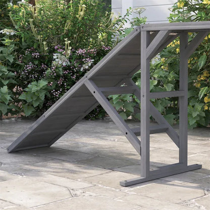 Dog Agility Ramp - view 5