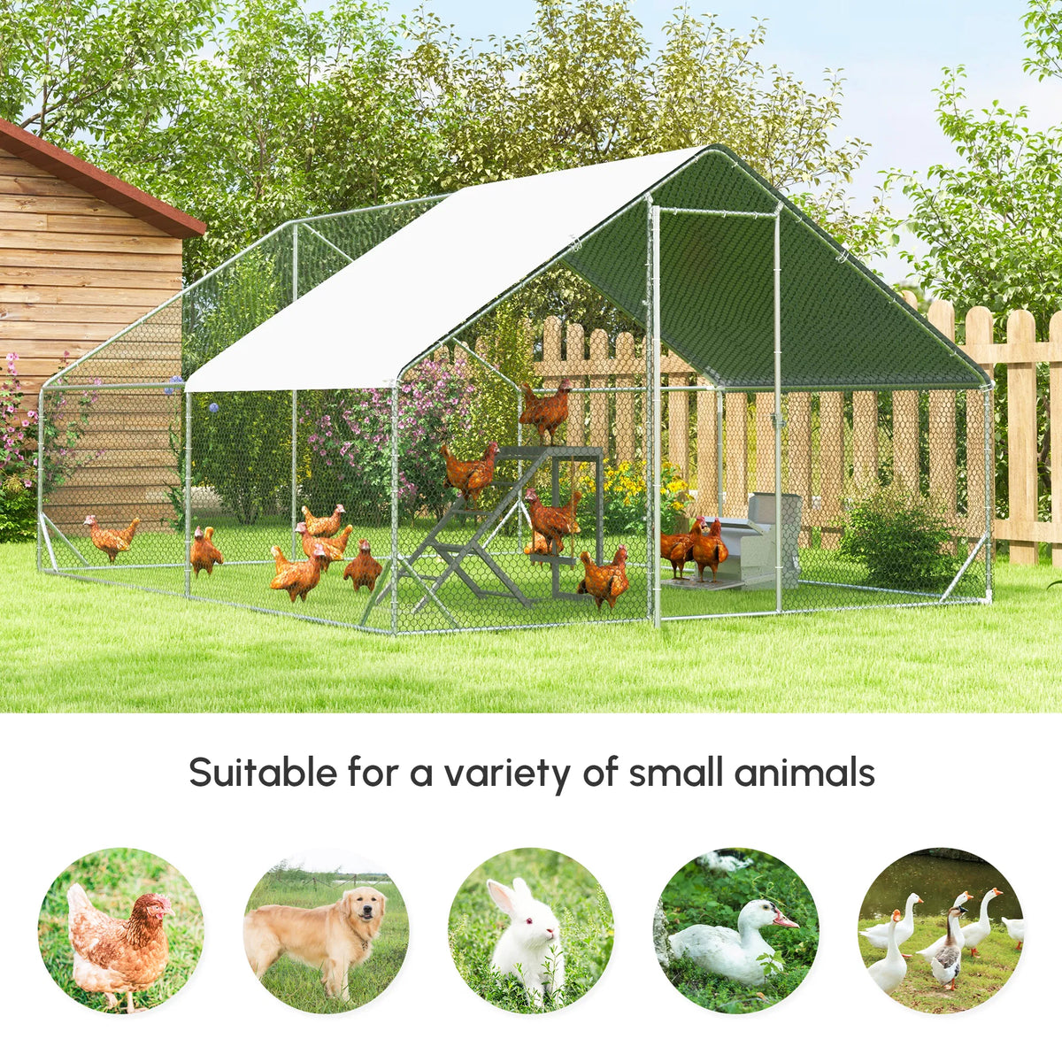 Chicken Coop - view 7