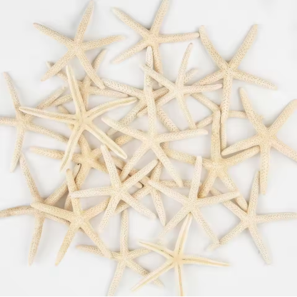 20 PCS 2-4 Inch 4-6 Inch Bulk Natural Real Starfish For DIY Crafts Wedding Beach Christmas Tree Ornaments
