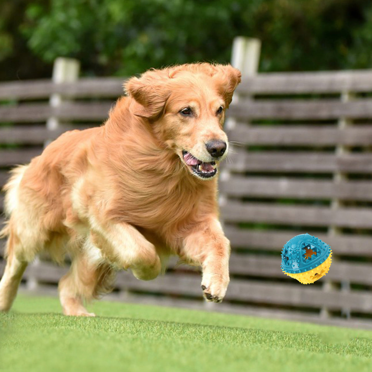 Dog Chew Toys Grinding Teeth Sound Ball Toys Leaking Food Balls Anti Bite Interactive Training Cleaning Teeth Toys Pet - view 5