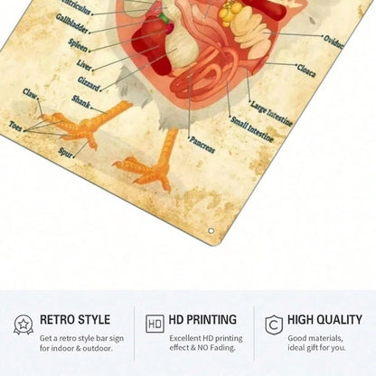 1pc Classic Chicken Anatomy Metal Tin Sign 8x12 Inch, Inch, Vintage Retro Unframed Iron Wall Art - view 2