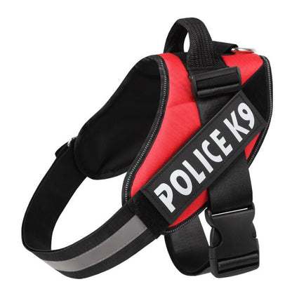 Dog Leash
