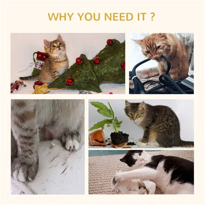Cat Tree - view 4