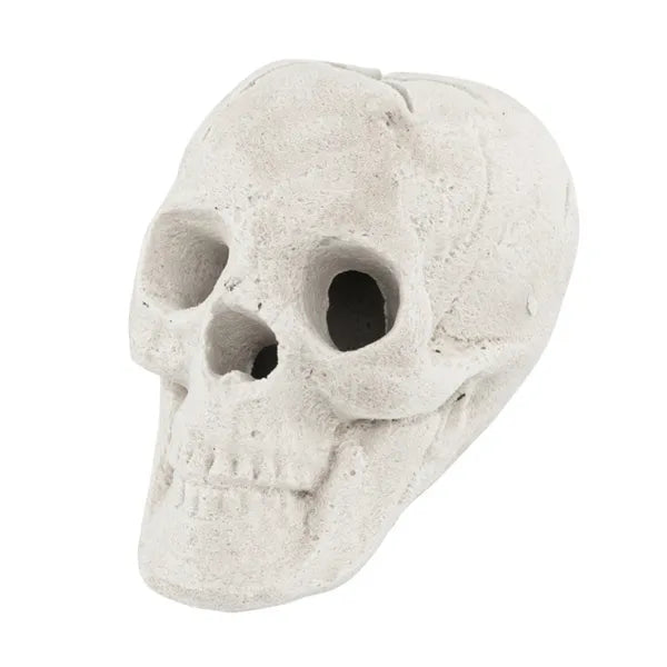 Halloween Decoration Beige - view 4