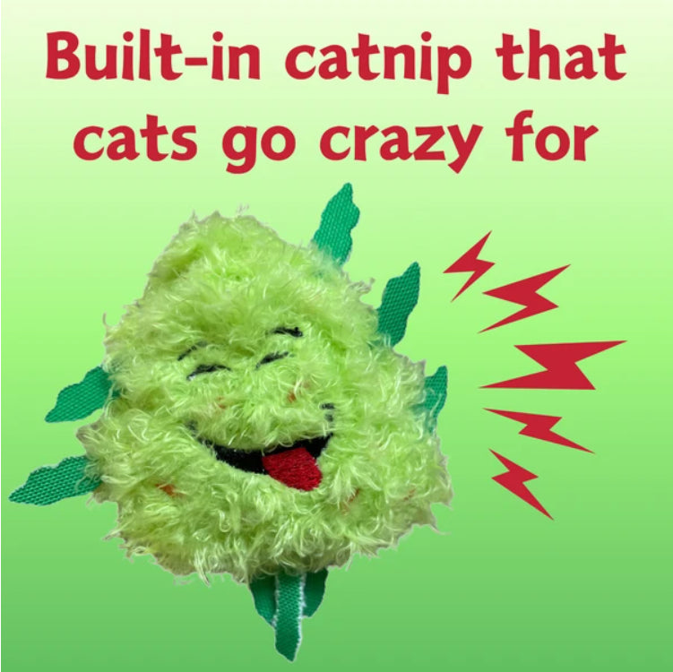 My Name Is Bud Jr, Funny Catnip Weed Nug Cat Toy, Cute Stuffed Parody Pot Nug, Cool Plush 420 Novelty Gift For Cats - view 7