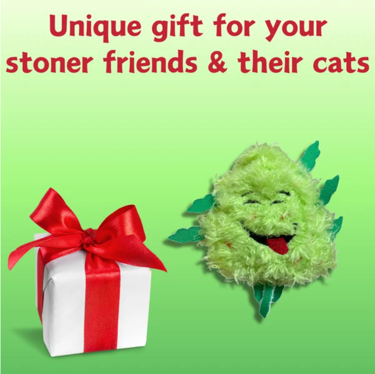 My Name Is Bud Jr, Funny Catnip Weed Nug Cat Toy, Cute Stuffed Parody Pot Nug, Cool Plush 420 Novelty Gift For Cats - view 6
