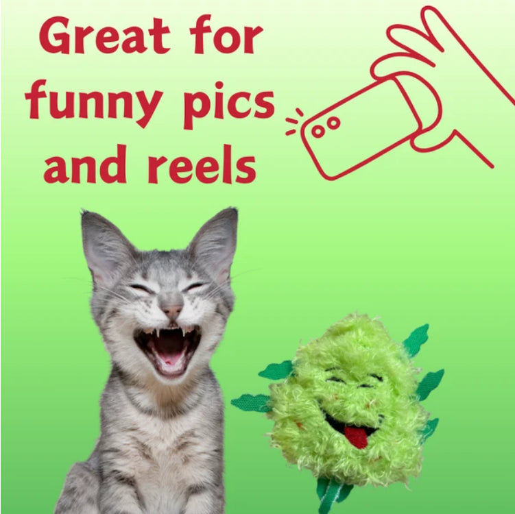 My Name Is Bud Jr, Funny Catnip Weed Nug Cat Toy, Cute Stuffed Parody Pot Nug, Cool Plush 420 Novelty Gift For Cats - view 4