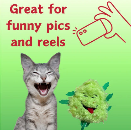 My Name Is Bud Jr, Funny Catnip Weed Nug Cat Toy, Cute Stuffed Parody Pot Nug, Cool Plush 420 Novelty Gift For Cats - view 4