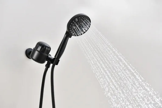 2.0 GPM Handheld Shower Head