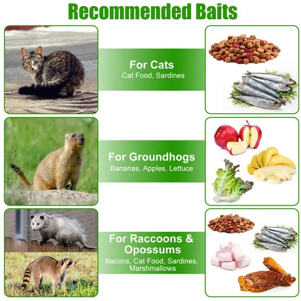 Humane Cat Trap Cage With Gloves Catch Release Live Animal Rodent Cage Collapsible Galvanized Wire For Raccoons Beavers - view 6