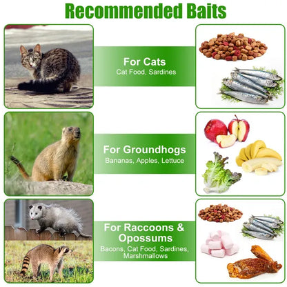 Humane Cat Trap Cage With Gloves Catch Release Live Animal Rodent Cage Collapsible Galvanized Wire For Raccoons Beavers - view 6
