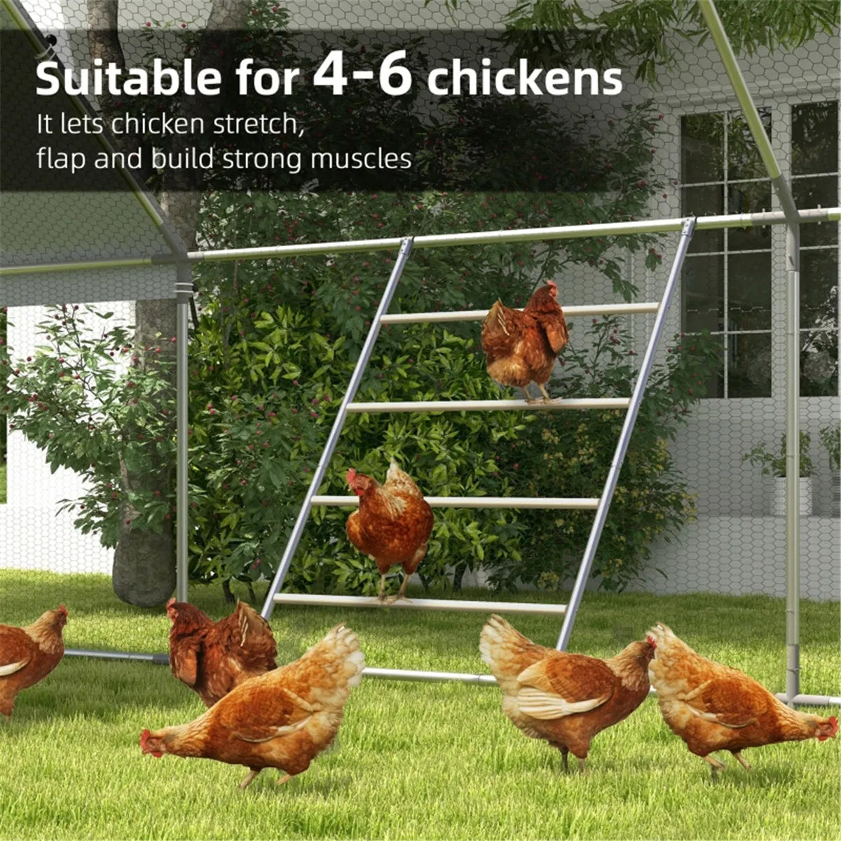 Chicken Wood Toys Chicken Roost - view 8