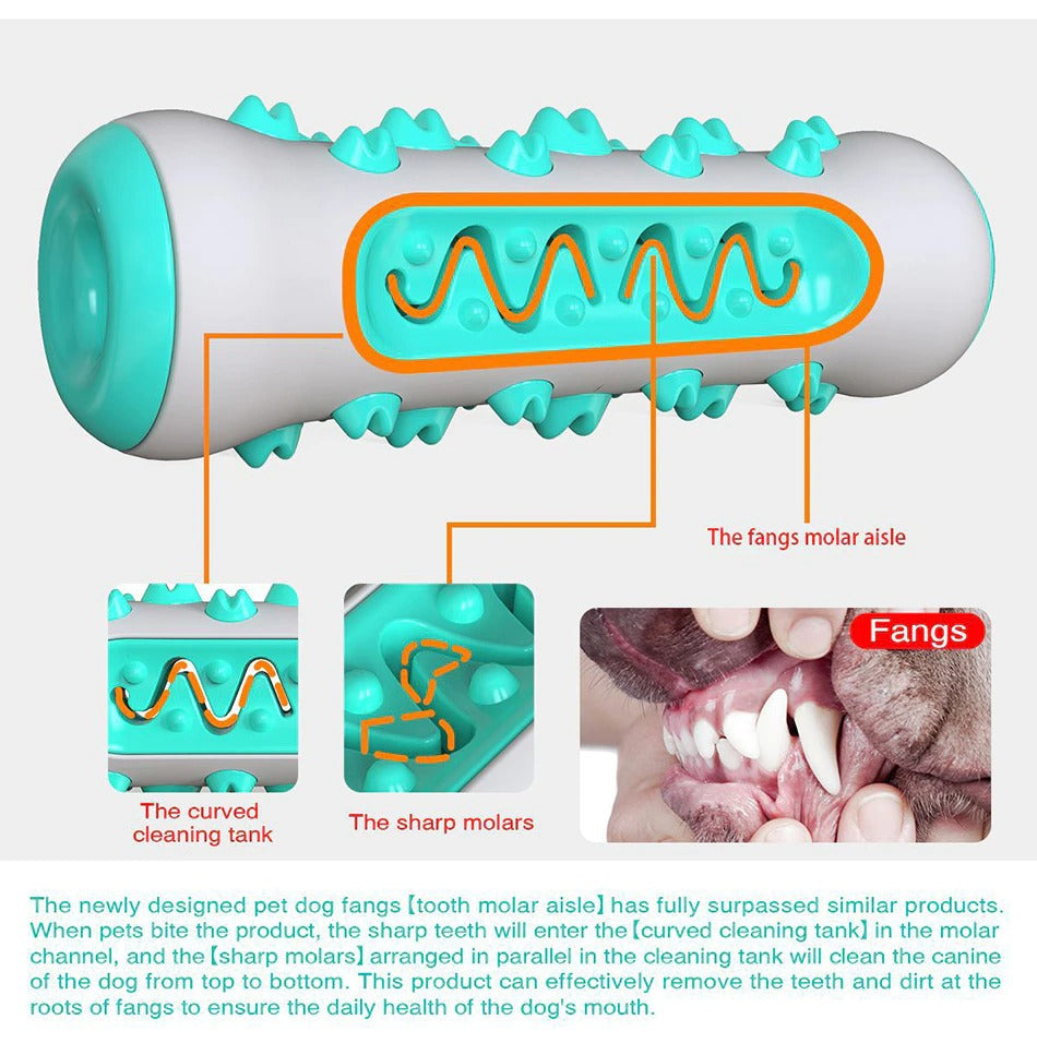 Dog Squeaky Toys For Aggressive Chewers, Tough Toothbrush Dog Chew Toy - view 3