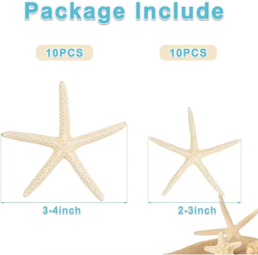 20 PCS 2-4 Inch 4-6 Inch Bulk Natural Real Starfish For DIY Crafts Wedding Beach Christmas Tree Ornaments - view 6