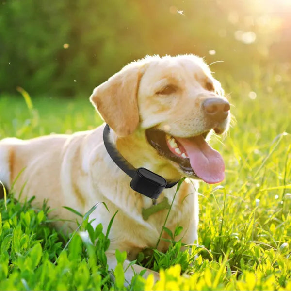 Electric Dog Fence System Pet Tone Shock Boundary Containment Water Resistant Collar Receiver For Small Medium Large Dog - view 2