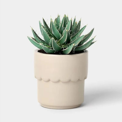Ceramic Modern Outdoor Planter – Cream, 4" x3.875" For Plants & Succulents