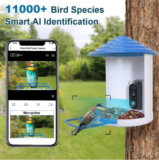 Smart Bird Feeder With Solar Powered Camera 1080P HD AI Identify PIR Motion Auto Capture Video Cloud Card Storage WiFi - view 5
