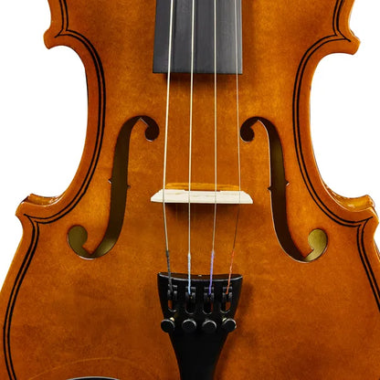 New 1/8 Acoustic Violin With Hard Case,Violin Bow,Shoulder Rest,Rosin,Extra Strings And Sourdine - view 5