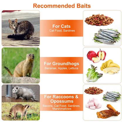 Humane Cat Trap Cage Catch Release Live Animal Rodent Cage Collapsible Galvanized Wire For Raccoons Beavers Groundhogs - view 4