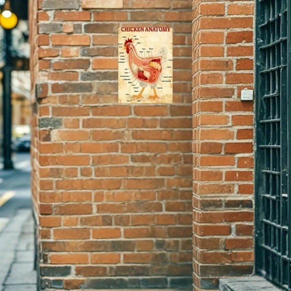 1pc Classic Chicken Anatomy Metal Tin Sign 8x12 Inch, Inch, Vintage Retro Unframed Iron Wall Art