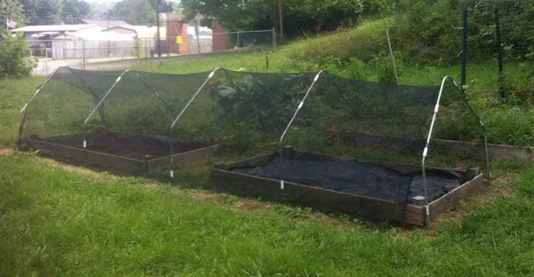 6ft*20ft Black Shade Net Fabric Provides Efficient Shading, Premium Materials, And An Enhanced Plant Growth Environment. - view 3