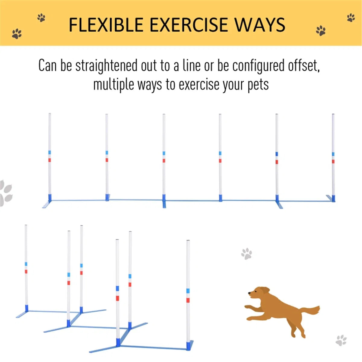 Dog Outdoor Exercise Training Set - view 5
