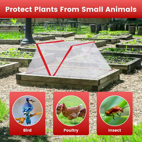 4Pack 31.50×12.99×13.39in Garden Row Accelerator Plants Covers Plant Net Cage Guard Greenhouse Covers Protect Seedling - view 2