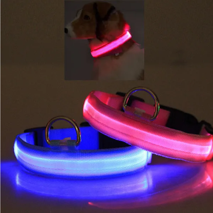 LED PET Safety Halo Style Collar - view 3