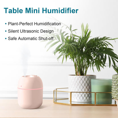 Portable Mini Humidifier, 220ml,Small Cool Mist Humidifier, USB Personal Desktop Humidifier For Bedroom Travel Office