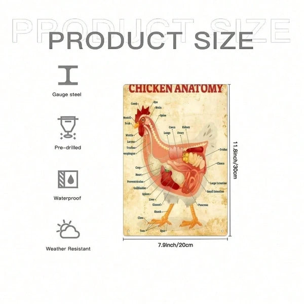1pc Classic Chicken Anatomy Metal Tin Sign 8x12 Inch, Inch, Vintage Retro Unframed Iron Wall Art - view 5