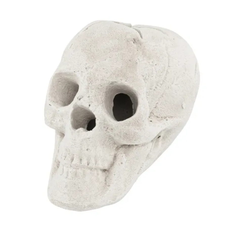 Halloween Decoration Beige - view 9