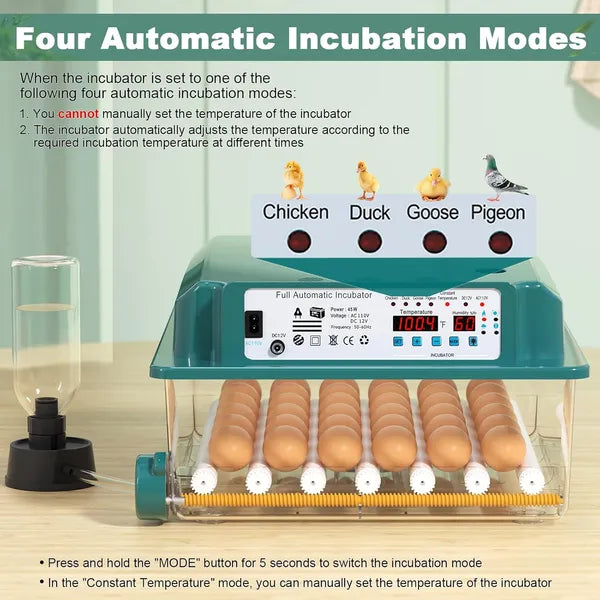 36 Eggs Incubators For Hatching Eggs,Egg Incubator With 4 Automatic Incubate Mode