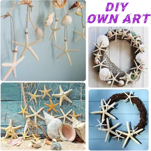 15pcs 2.3-4.3 Inch Starfish Hanging Christmas Tree Ornaments Star Fish Shells Decor For Crafts - view 2