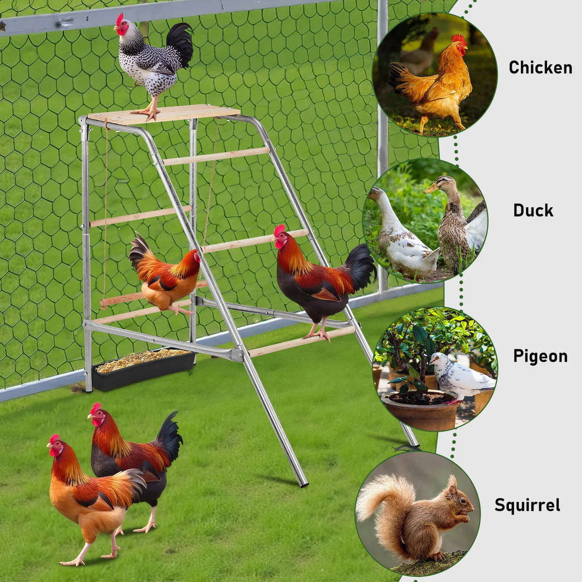 103 x 50 x 100cm Outdoor chicken perch - view 6