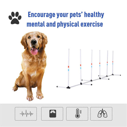 Dog Outdoor Exercise Training Set - view 7