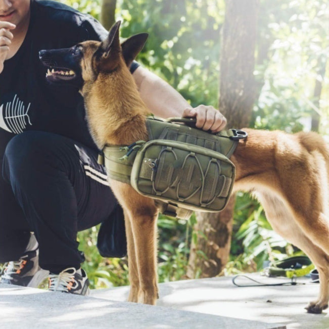 Nylon Dog Tactical Harness