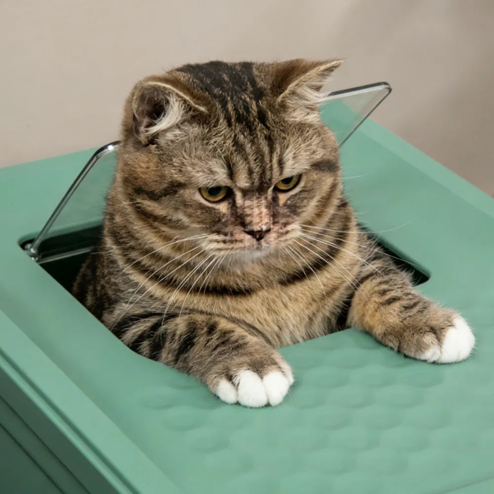 Stainless Steel Enclosed Litter Box for Cats - view 5