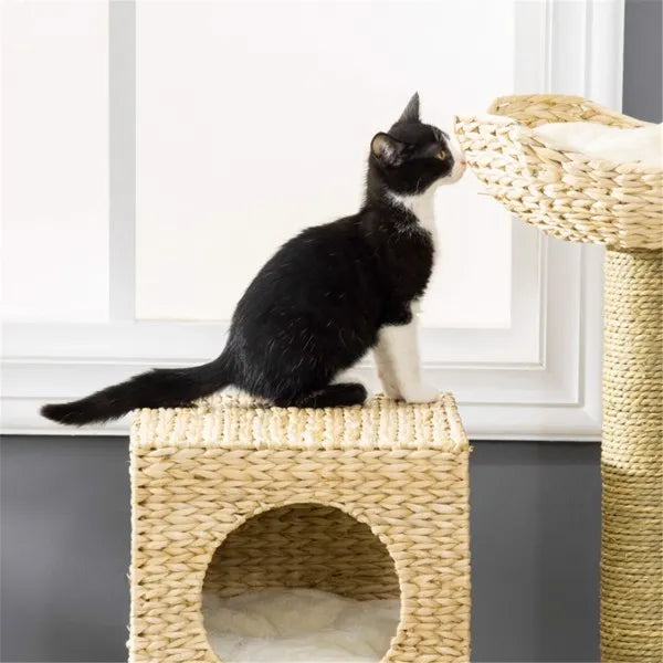 Cat Tree - view 3