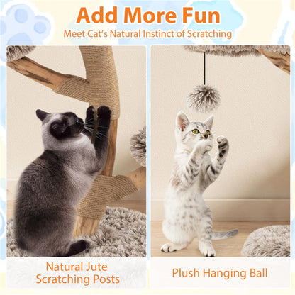 4-Level Natural Pear Wood Cat Tree - 19.5" x35.5", Jute Scratch Posts + Plush Ball, Long Plush - view 4