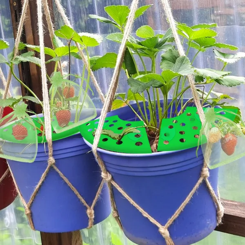 8Pcs Strawberry Planting Kit With 20Pcs Insect-proof Mesh Bag Reusable Strawberry Growing Racks Frame Protecting - view 4