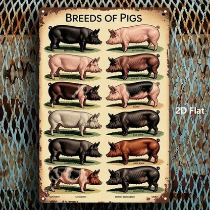 Vintage Pig Breeds Metal Sign 8x12 Inch Retro Distressed Wall Art 2D Flat Metal Poster For Home Garage Bar Cafe - view 4